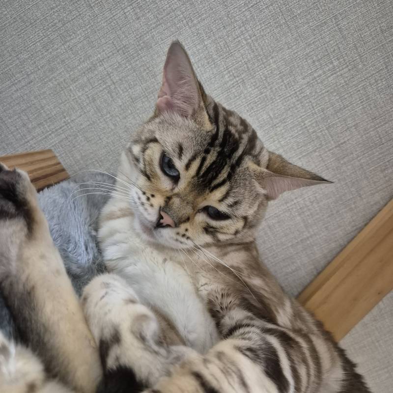 [잡담] 불키니깐 언짢다는데 조용히 불을 다시 꺼야겠네 | 인스티즈