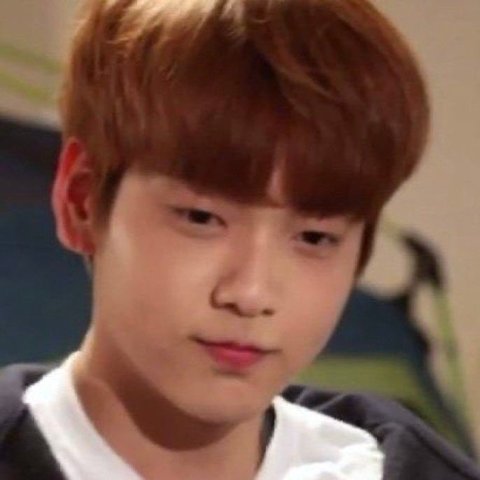 [잡담] 최연준 진짜 취향 겁나 소나무임 | 인스티즈