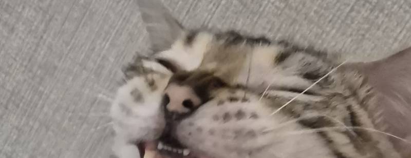 [잡담] 불키니깐 언짢다는데 조용히 불을 다시 꺼야겠네 | 인스티즈