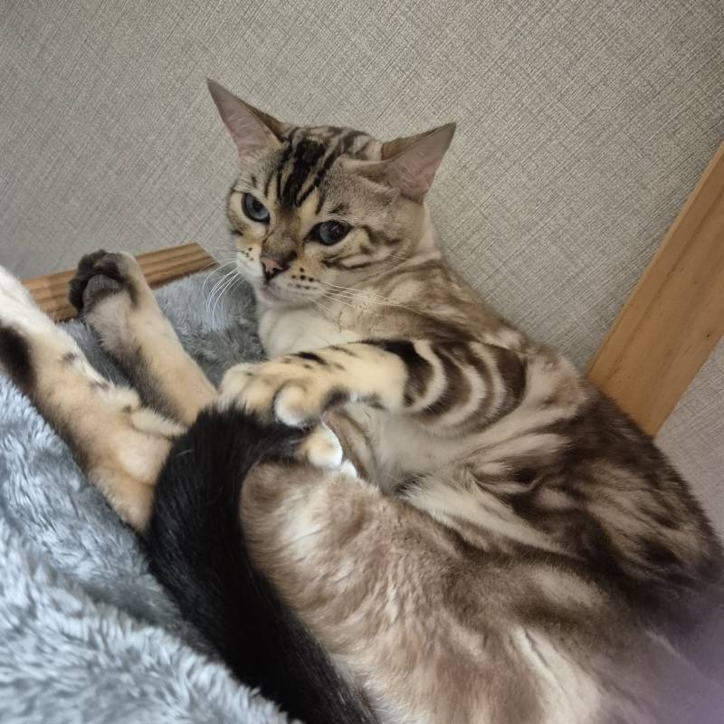 [잡담] 불키니깐 언짢다는데 조용히 불을 다시 꺼야겠네 | 인스티즈