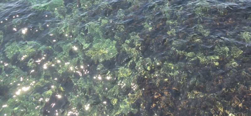 [잡담] 🌊 동해 바다 🌊 | 인스티즈