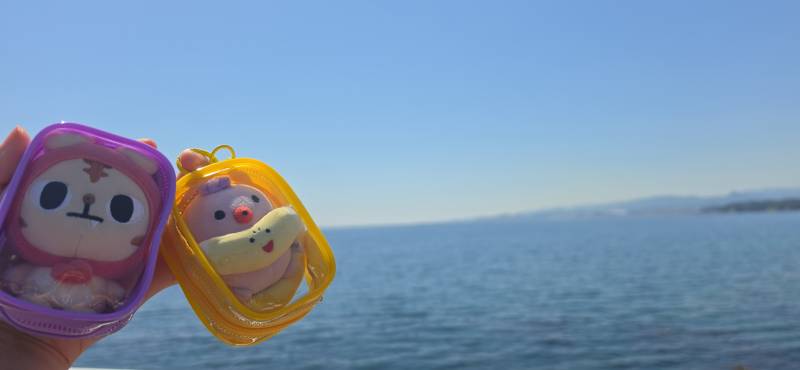 [잡담] 🌊 동해 바다 🌊 | 인스티즈