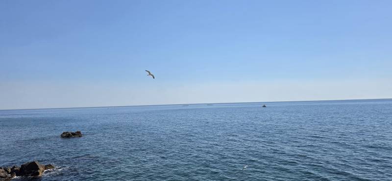 [잡담] 🌊 동해 바다 🌊 | 인스티즈