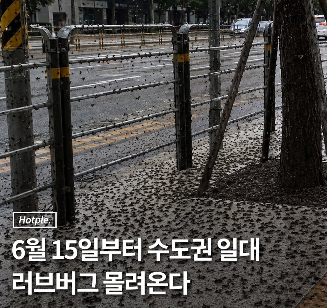 [정보/소식] 혐주의) 6월 15일부터 그녀석들 몰려온다 | 인스티즈