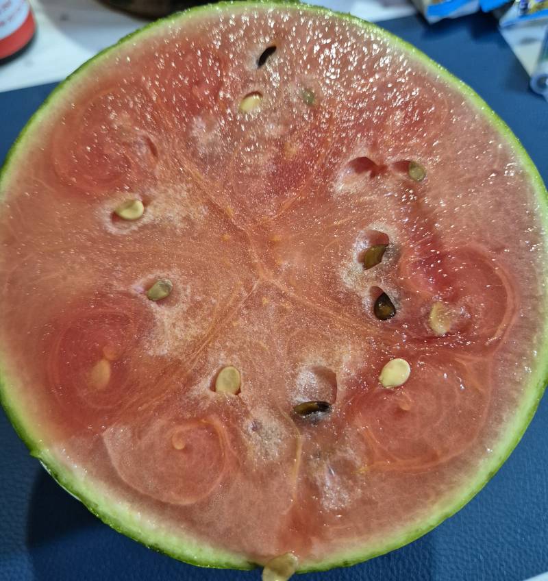 [잡담] 한 통 2천원에 사온 올해 첫 복수박🍉 | 인스티즈