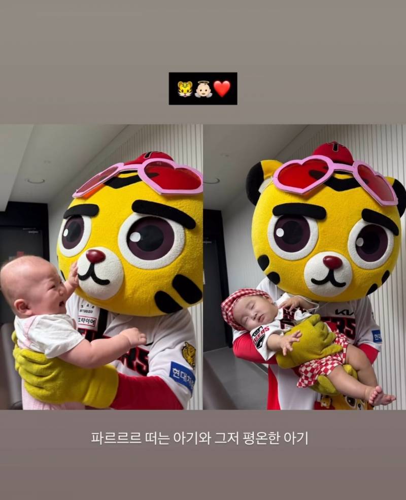 [잡담] 호걸이가 아가를 울렸어 | 인스티즈