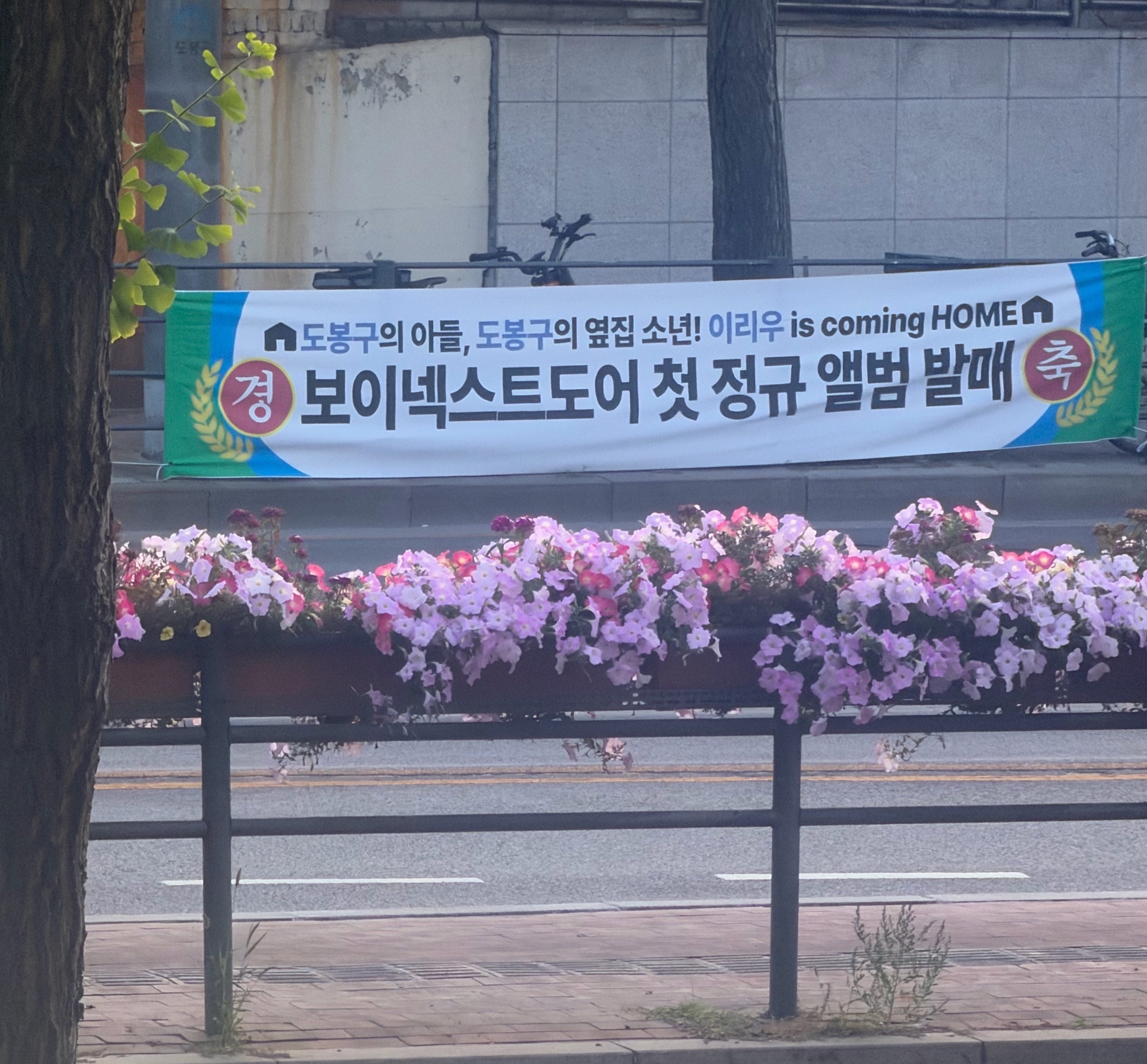 [잡담] 보넥도 팬들 있음? 도봉구 이거 뭐야ㅋㅋㅋㅋ | 인스티즈