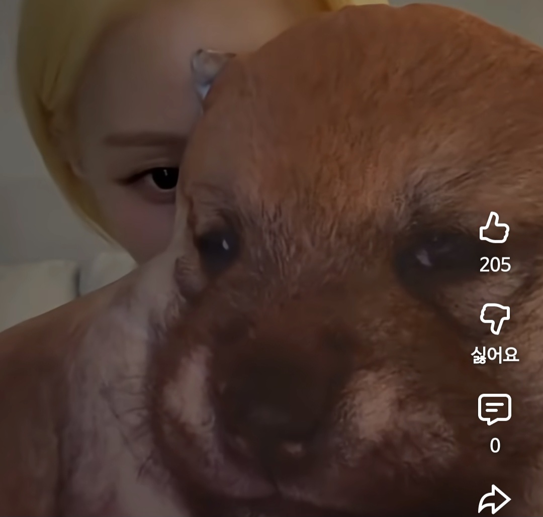 [잡담] 숏츠에서 본건데 윈터 라방? 에서 안고 있는 강아지 인형 | 인스티즈
