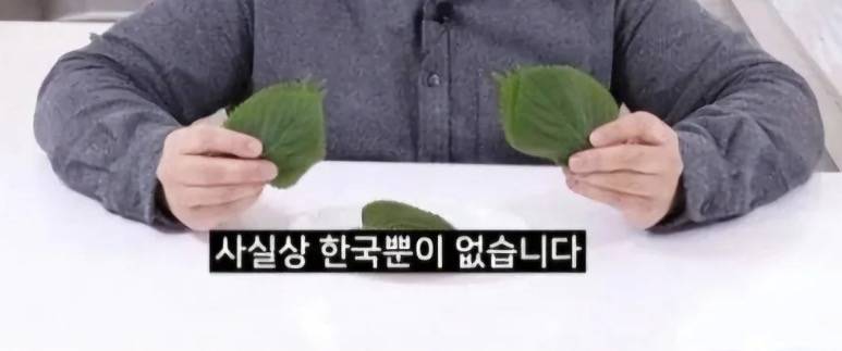 [잡담] '뿐이 없다' ←이거 쓰는 사람 있음? | 인스티즈