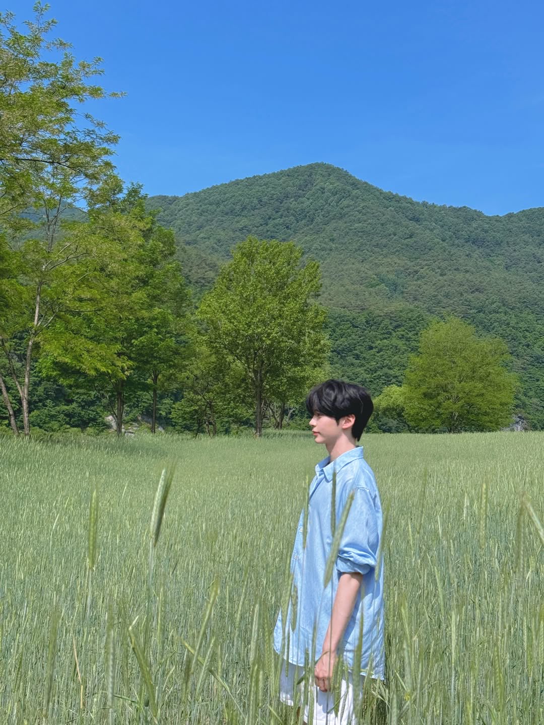 [잡담] 또 팬들 좋아하는 사진찍어온 성한빈 | 인스티즈