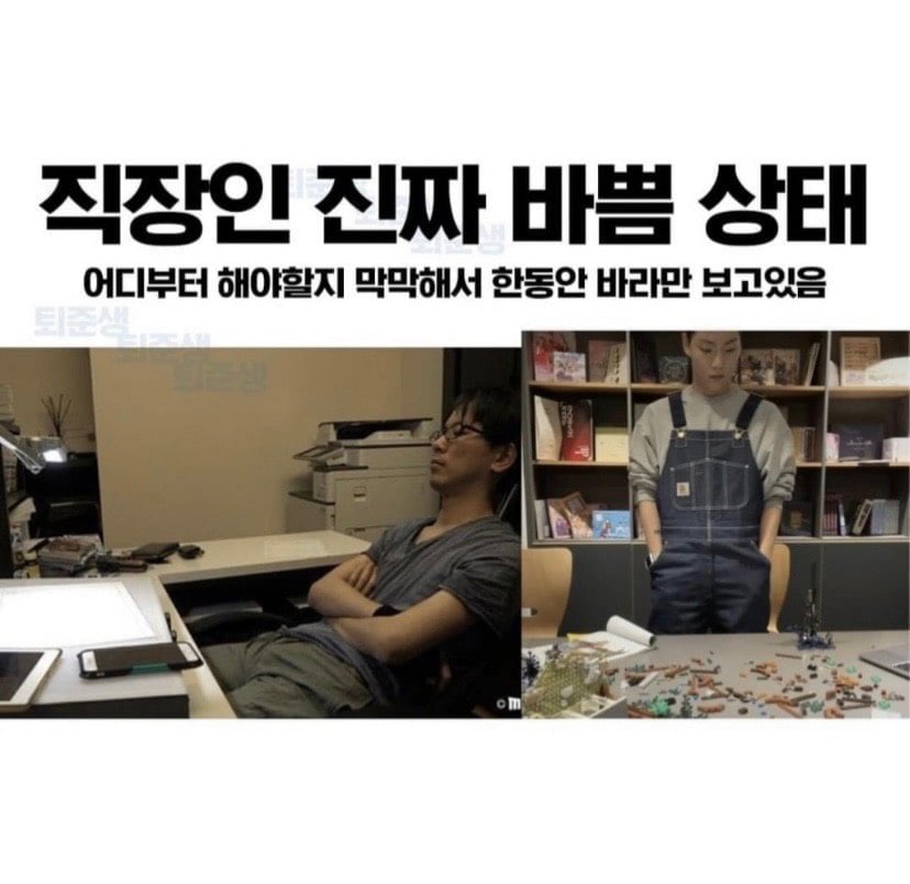 [잡담] 멋진신세계) 차세계 상태래 ㅋㅋㅋ | 인스티즈