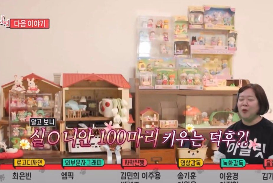[잡담] 원희 자기방 귀엽게 꾸미고 실바니안존 만들어놓고 이런거 | 인스티즈