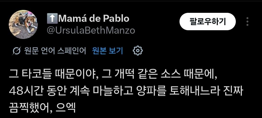 [정보/소식] 오늘자 밥먹으러 나온 손흥민 때문에 화가 난 멕시코 인들 | 인스티즈