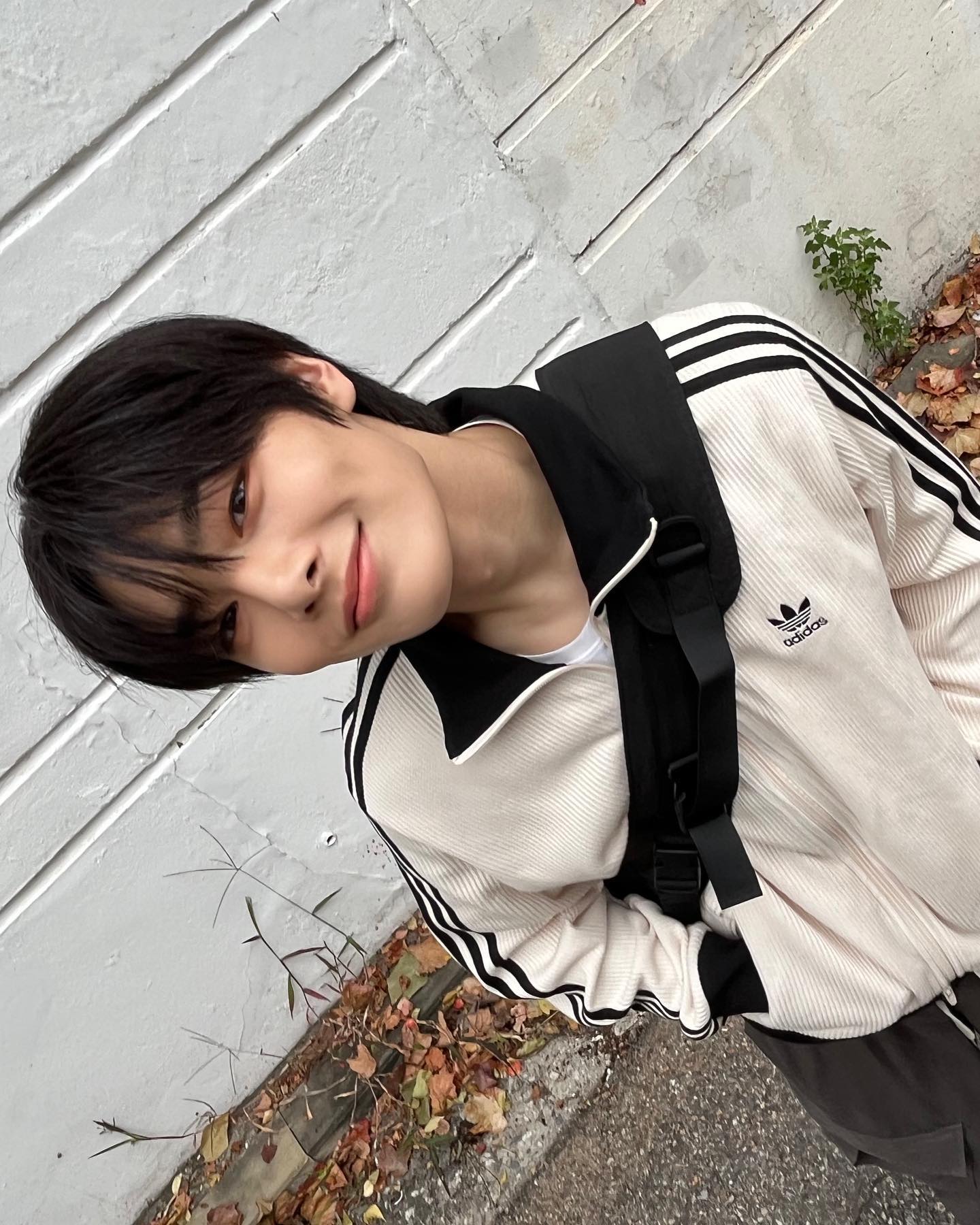 [잡담] 제와피 여우들이 좋다 … | 인스티즈
