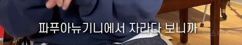 데뷔 13년차 가수가 무명 시기를 견딘 방법…jpg | 인스티즈