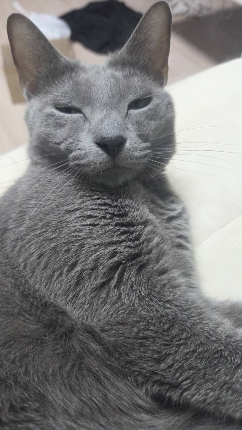 [잡담] 트위터 처음인데 어떻게 하는지 알려줄 익 있어? | 인스티즈