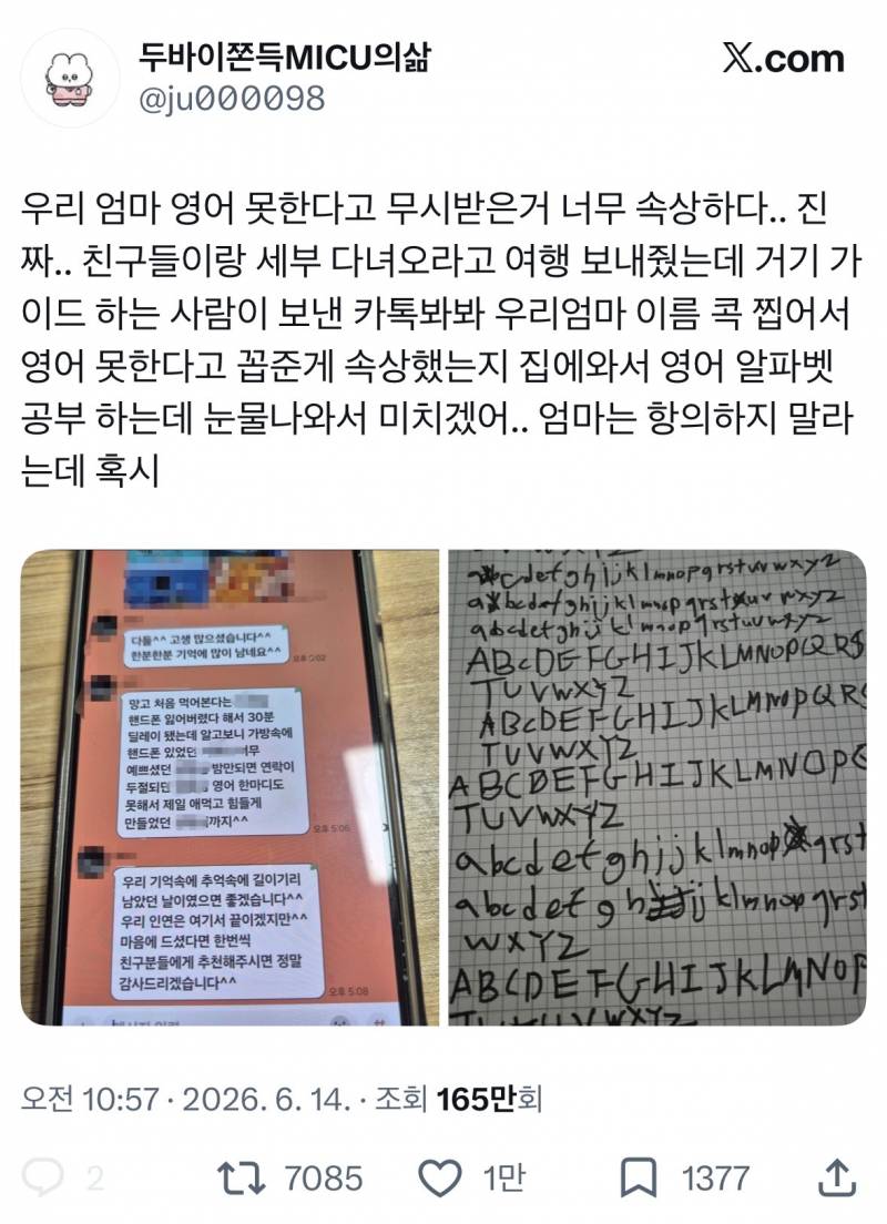 현재 sns에서 난리난 영어못하는 엄마 꼽준 가이드..JPG | 인스티즈