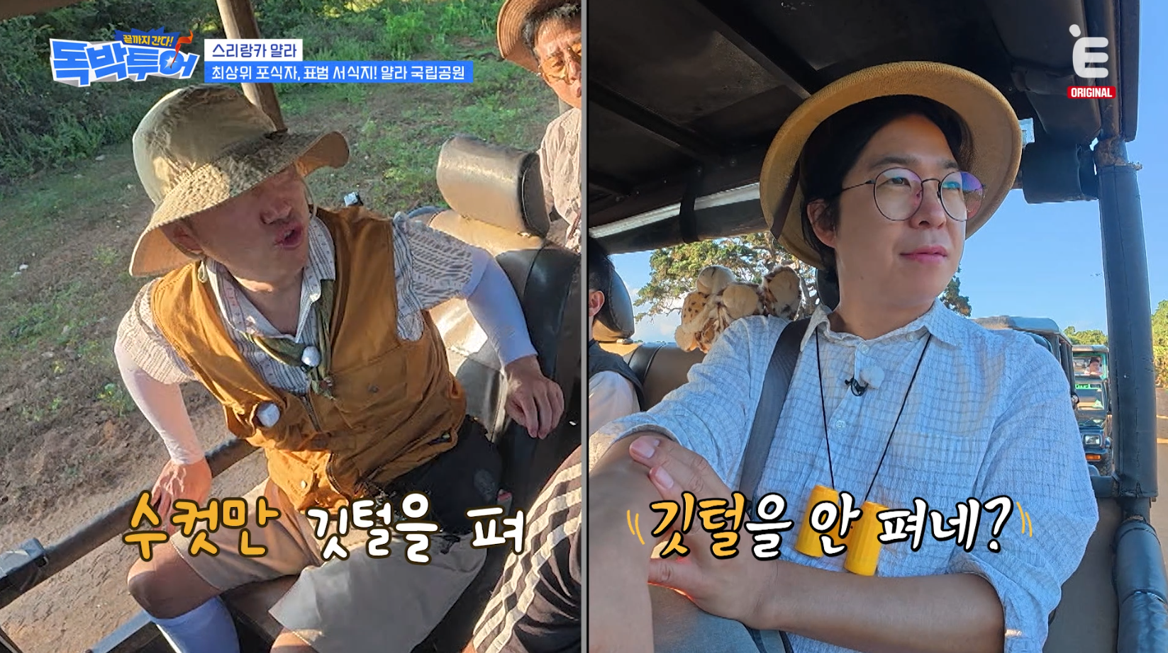 [잡담] 독박투어) 스리랑카 국립공원에서 볼 수 있는 야생동물 | 인스티즈