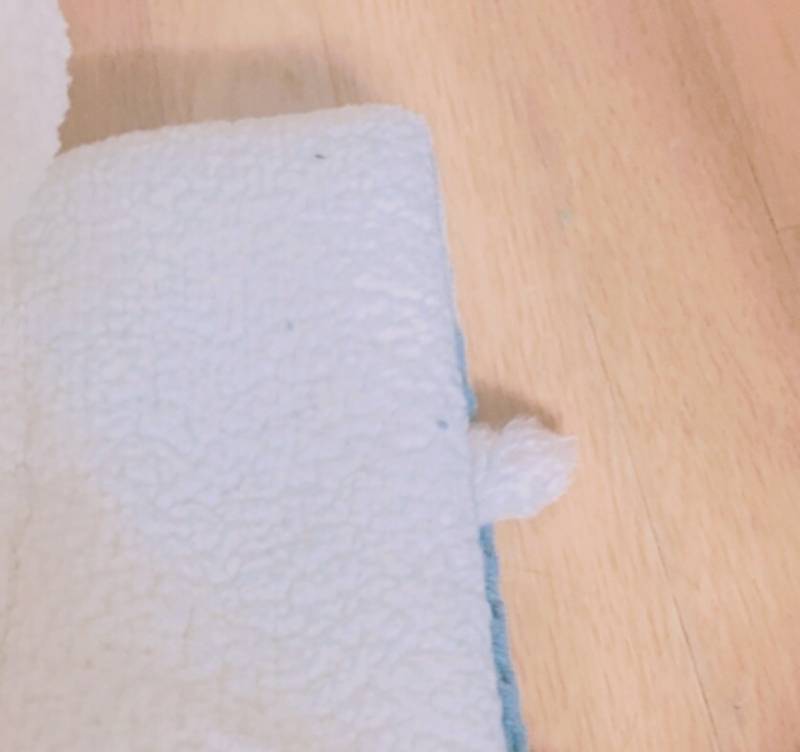 [잡담] 우리 강아지 숨은거 봐라 하나도 안 보인다 | 인스티즈