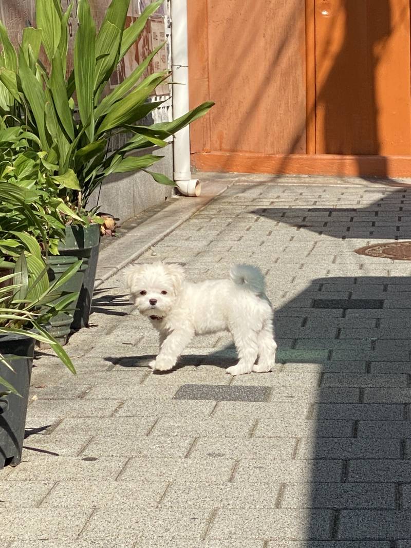 [잡담] 나 코 너무 못생겼지 않니 사진 o | 인스티즈
