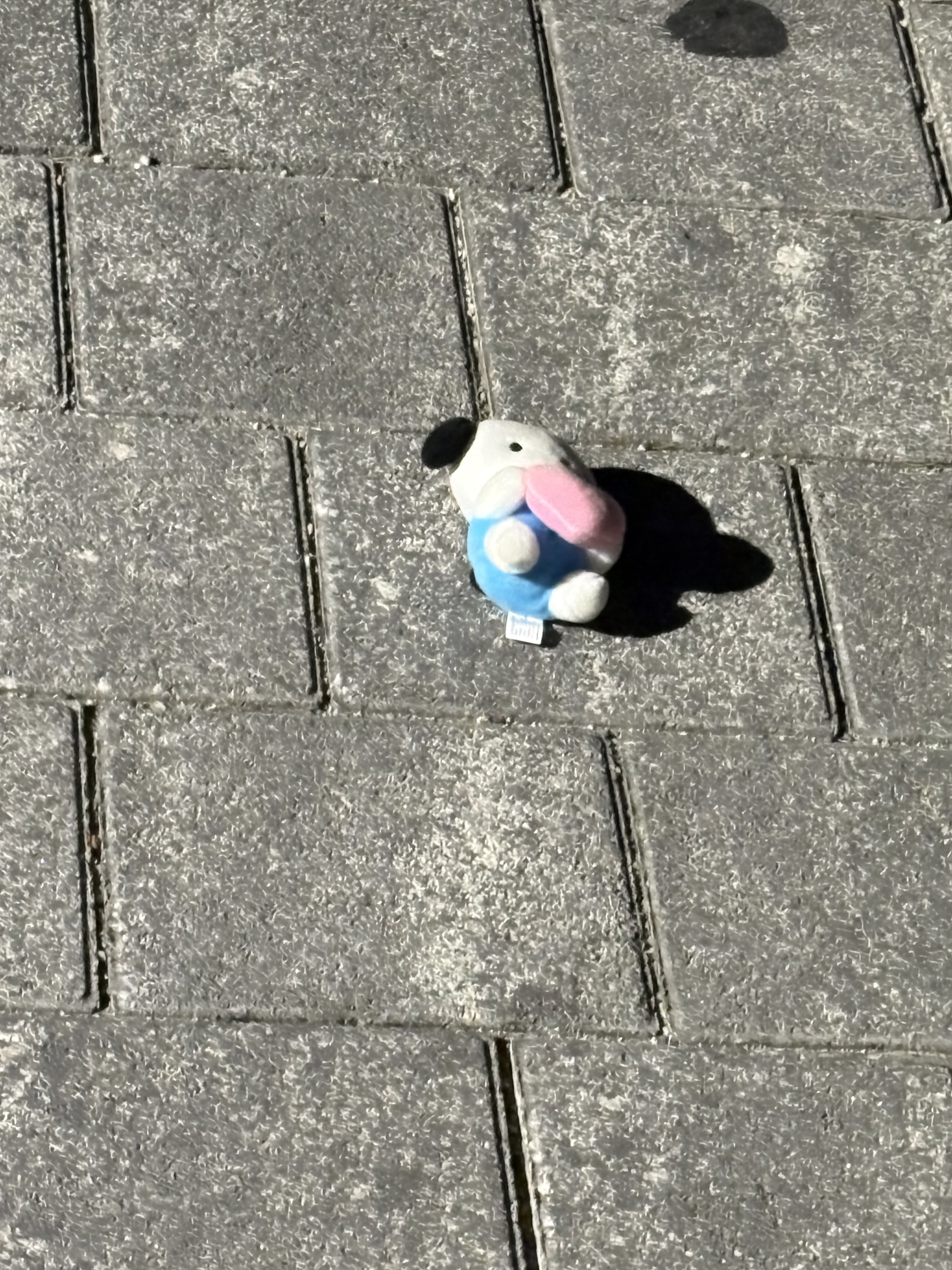 [잡담] 주울까... | 인스티즈