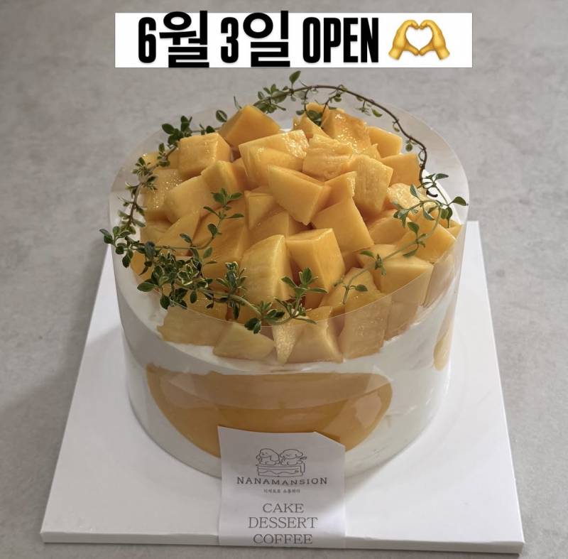 [잡담] 익들아 ㅠㅠ 망고케이크 사려는데 골라줘! | 인스티즈