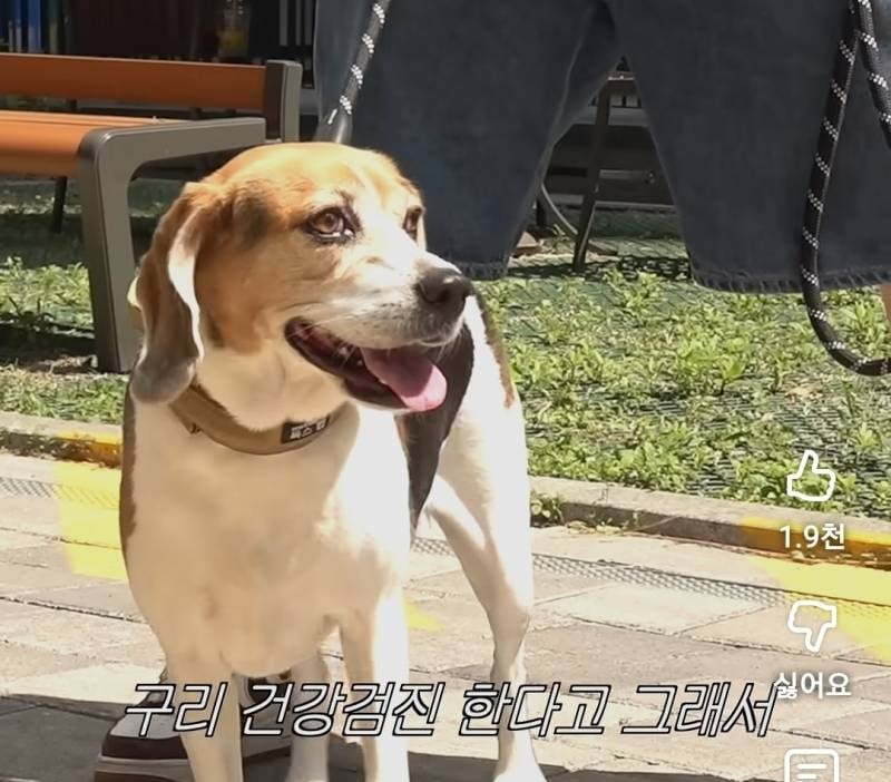 수면내시경 하는데 눈뜨고 자는 이창섭.jpg | 인스티즈