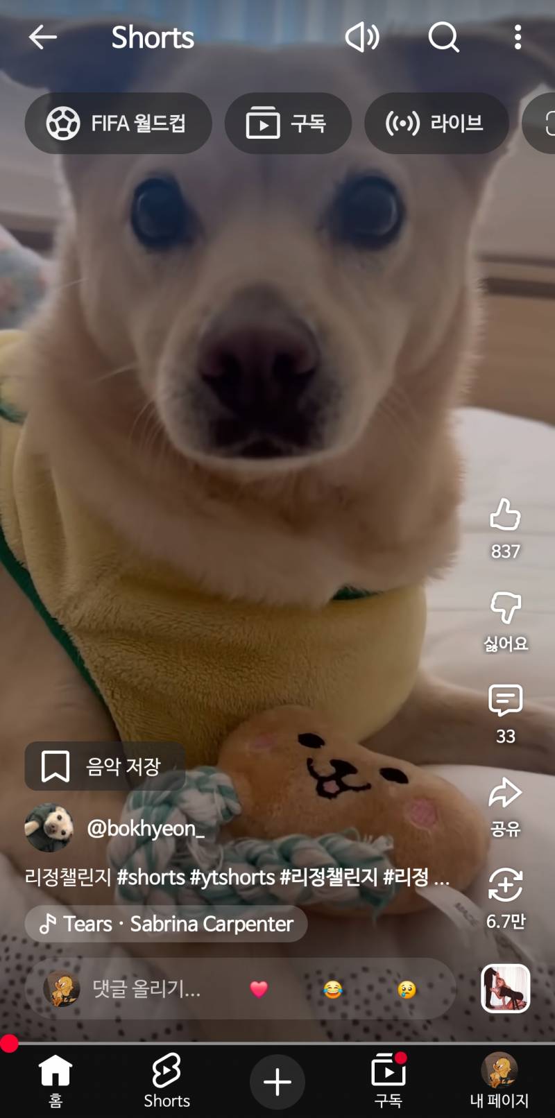 [잡담] 강아지 이런옷은 추워서입히는거야? | 인스티즈