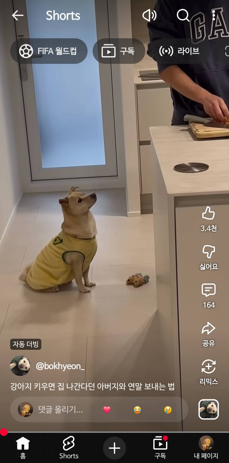 [잡담] 강아지 이런옷은 추워서입히는거야? | 인스티즈