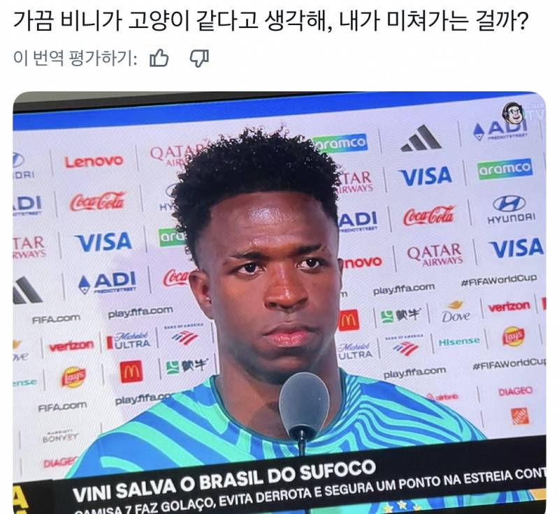 [잡담] 비니시우스 고양이 닮았지 않아? | 인스티즈