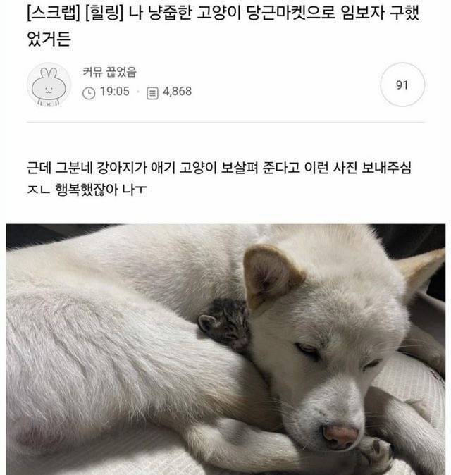 [잡담] 얘들아 ㅠㅠㅠㅠㅠ 이거봐 | 인스티즈