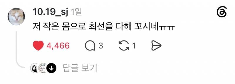 이거 간택인가요? | 인스티즈