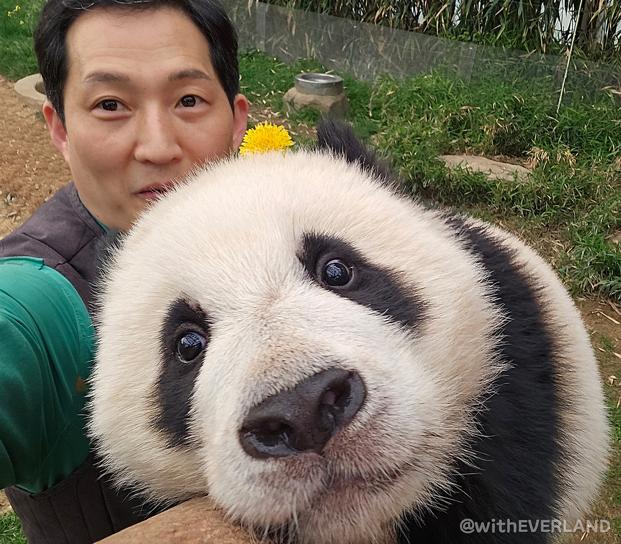 [잡담] 후이바오 진짜 막내상인데ㅋㅋㅋ | 인스티즈