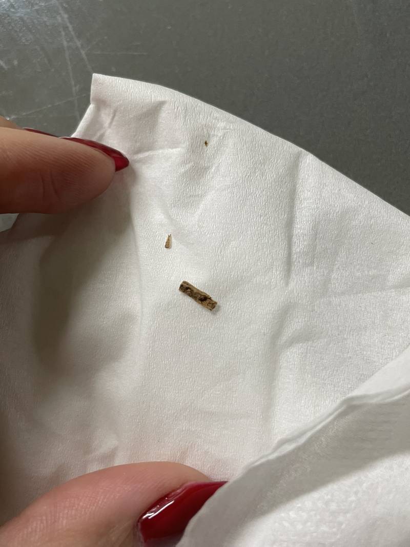 [잡담] 피자에 오븐스파게티 먹다가 나온건데 뭐같아 보여? | 인스티즈