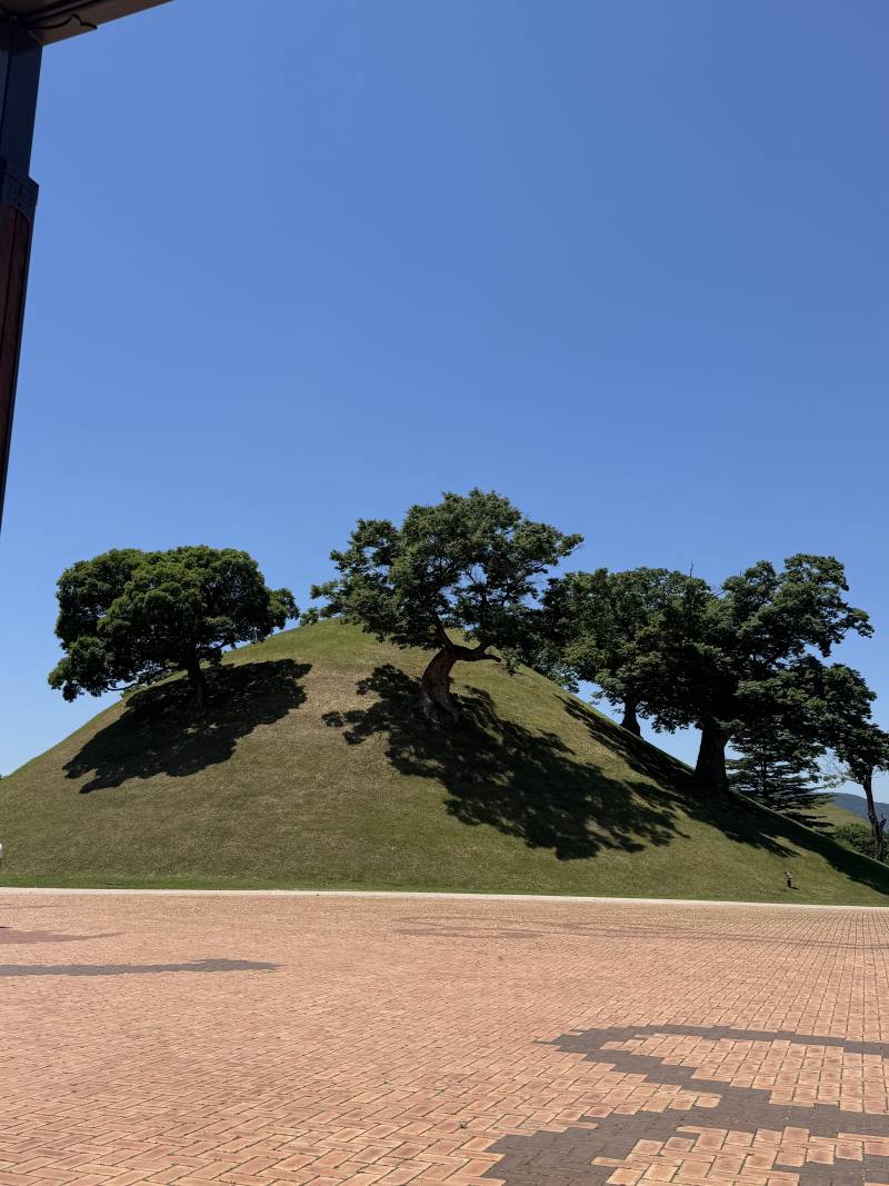 [잡담] 혹시 경주 놀러오면 봉황대 쪽도 와봐 | 인스티즈
