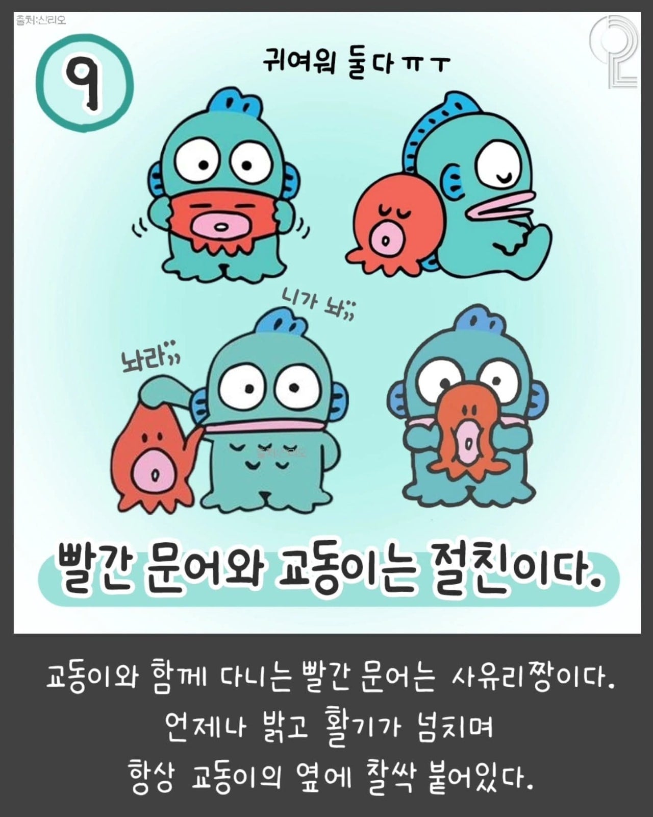 [정보/소식] 충격적인 한교동의 숨겨진 비밀 | 인스티즈