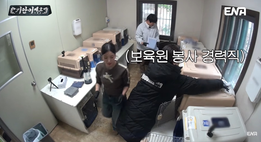 [잡담] 유기견 봉사활동 갔다가 소신발언한 기안84 | 인스티즈