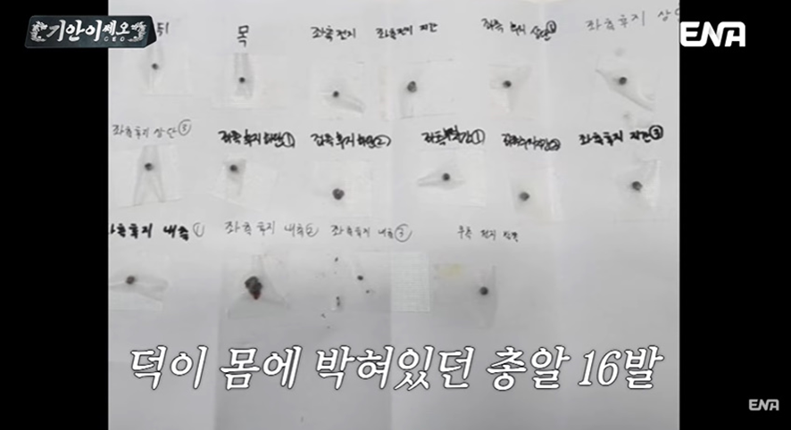 [잡담] 유기견 봉사활동 갔다가 소신발언한 기안84 | 인스티즈