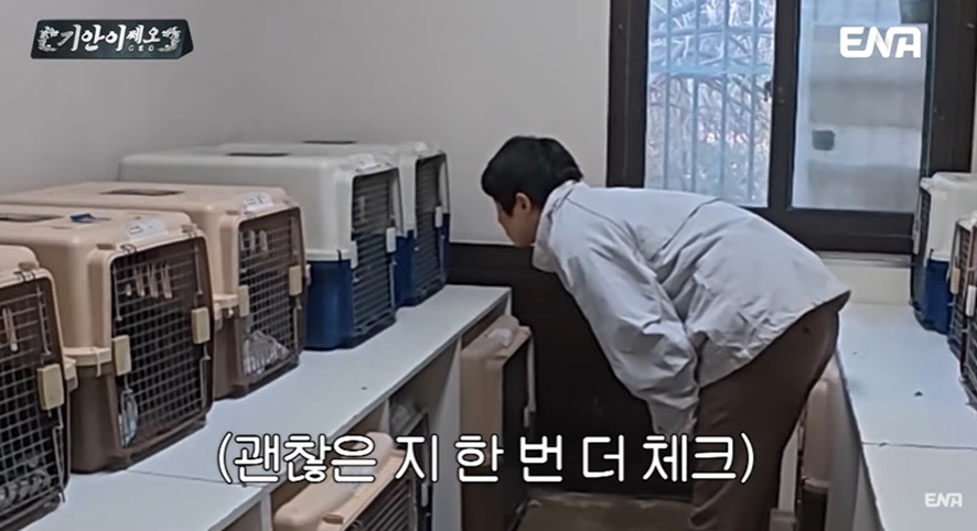 [잡담] 유기견 봉사활동 갔다가 소신발언한 기안84 | 인스티즈