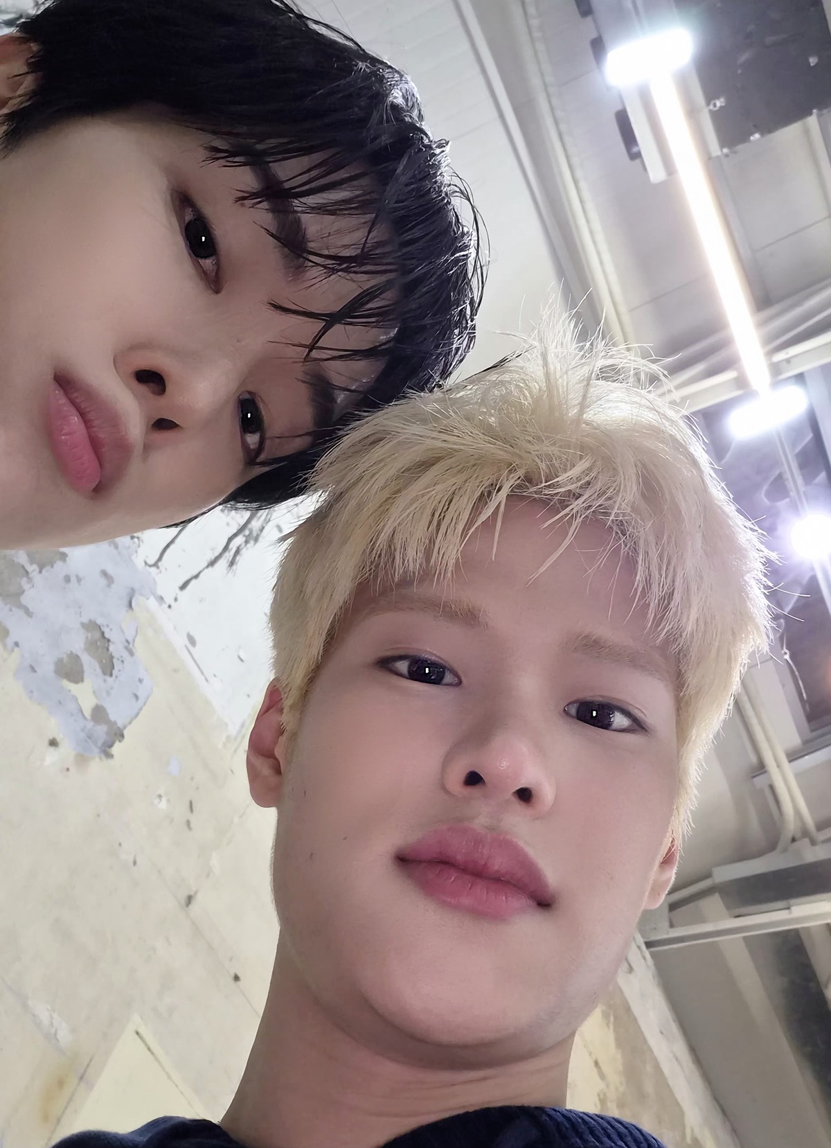 [잡담] 요새 더 웃긴 밤똘즈 | 인스티즈