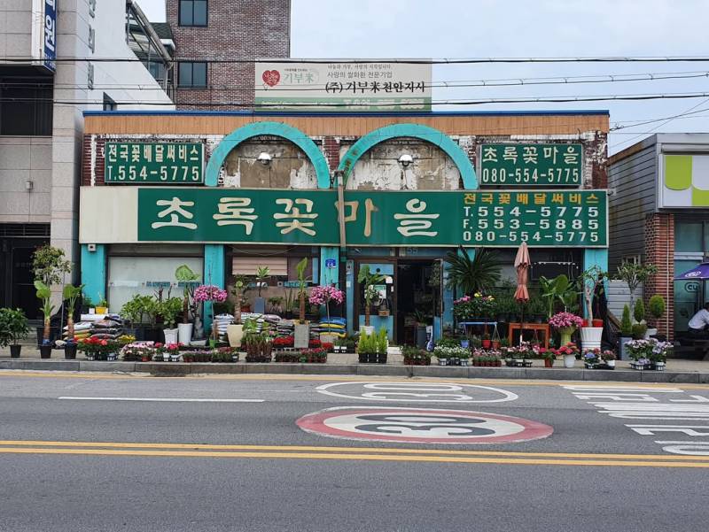 [잡담] 롯론트는 꽃다발이 필요하면 천안을 갈 것 | 인스티즈
