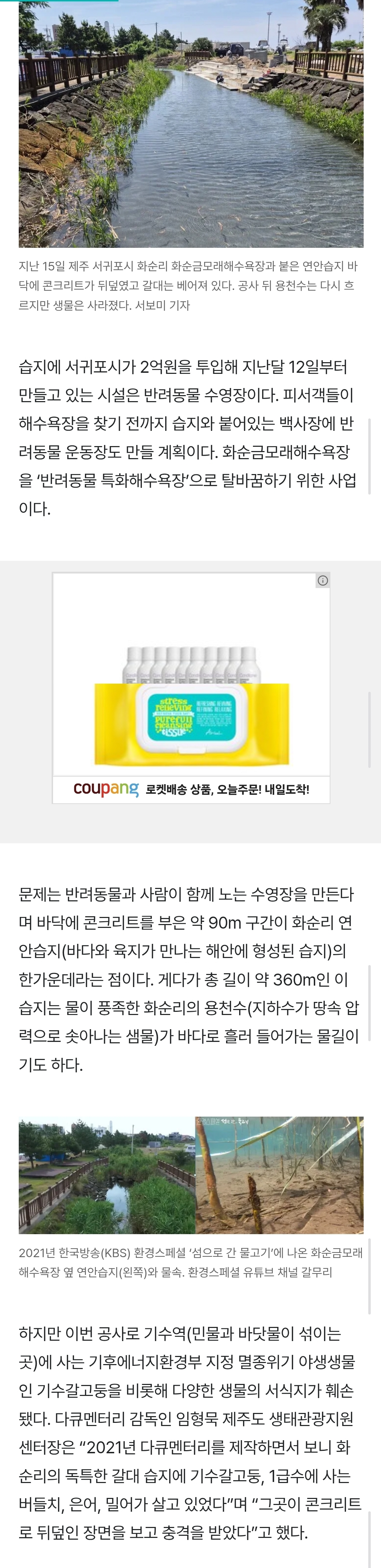 [정보/소식] '반려동물 수영장' 짓느라 습지에 콘크리트…"참 기가 막히지” | 인스티즈