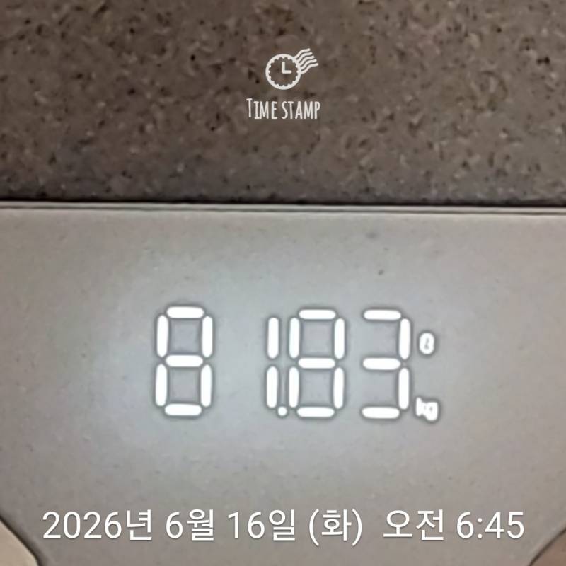[잡담] 마운자로 2회 맞음 몸무게 변화볼래? | 인스티즈