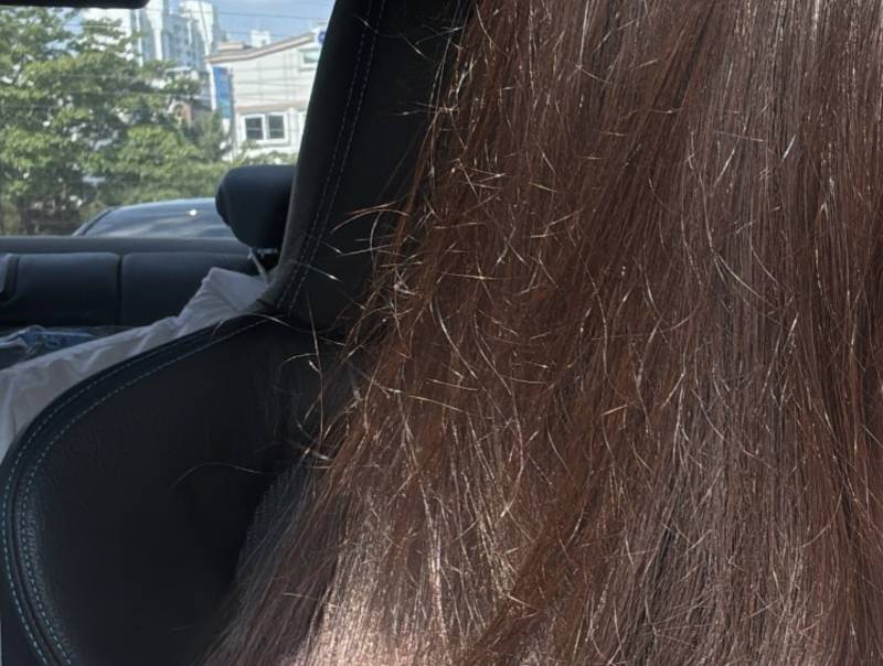 [잡담] 미용실 가면 이런 부시시한거 해결해주나 | 인스티즈