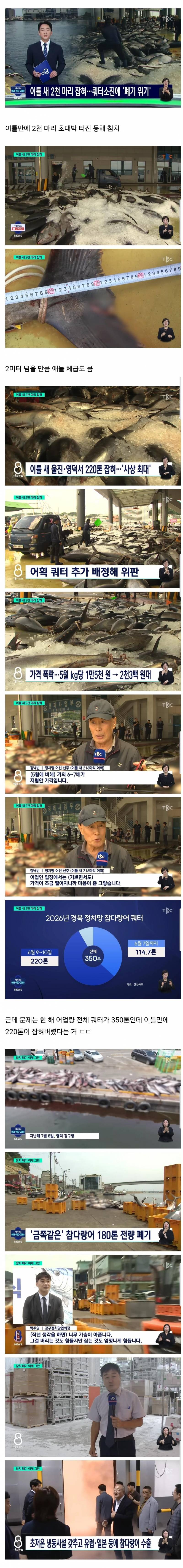참치 때문에 난리났다는 동해 근황 | 인스티즈