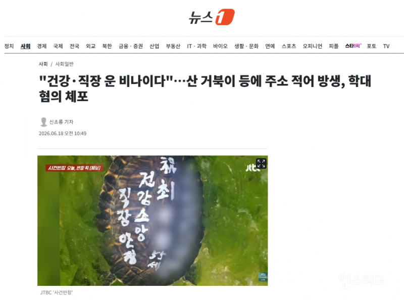 "건강·직장 운 비나이다"…산 거북이 등에 주소 적어 방생, 학대 혐의 체포 | 인스티즈