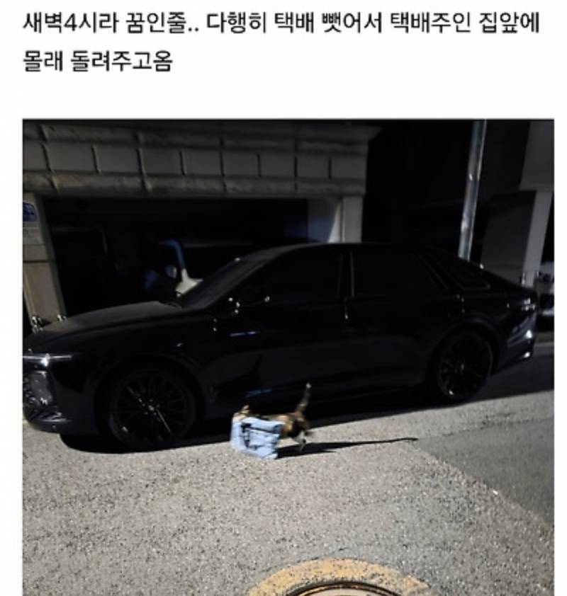 [잡담] 로캣배송 로캣반품 | 인스티즈