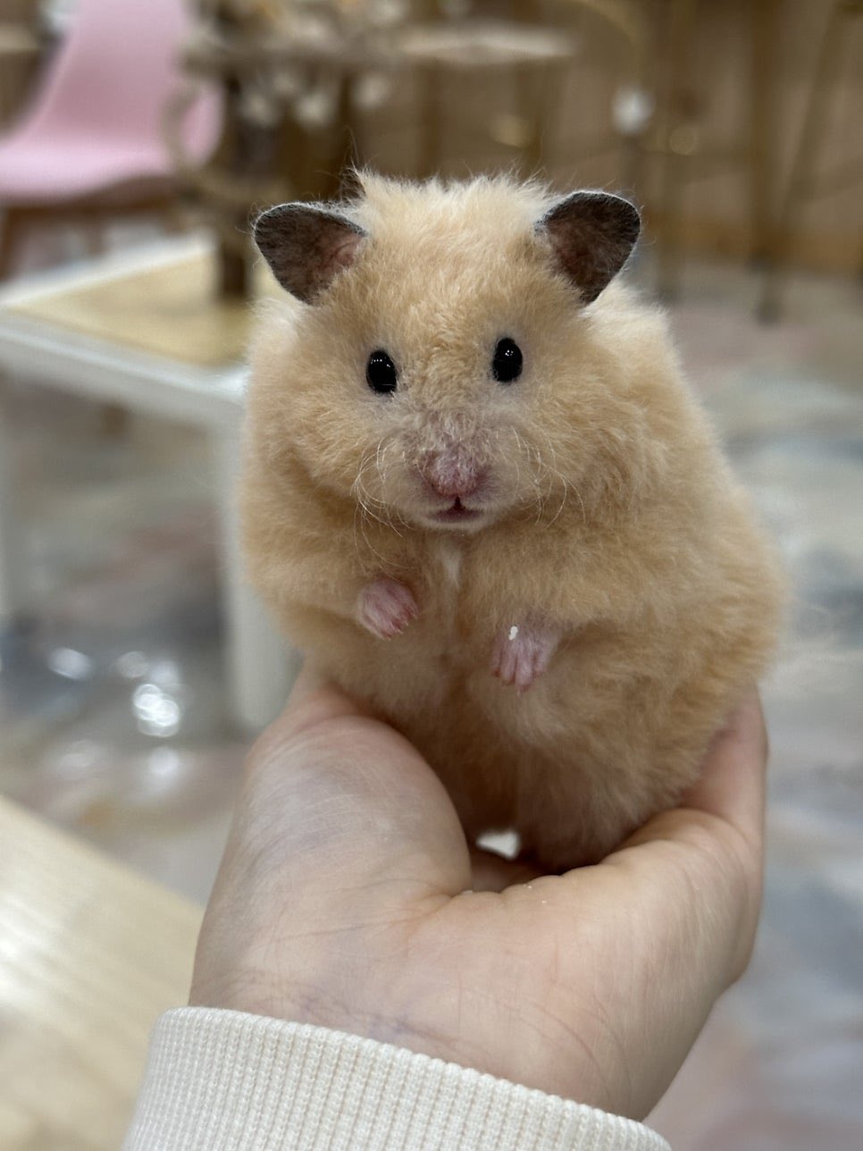 [잡담] 알디원 뚠땅즈 무드 | 인스티즈
