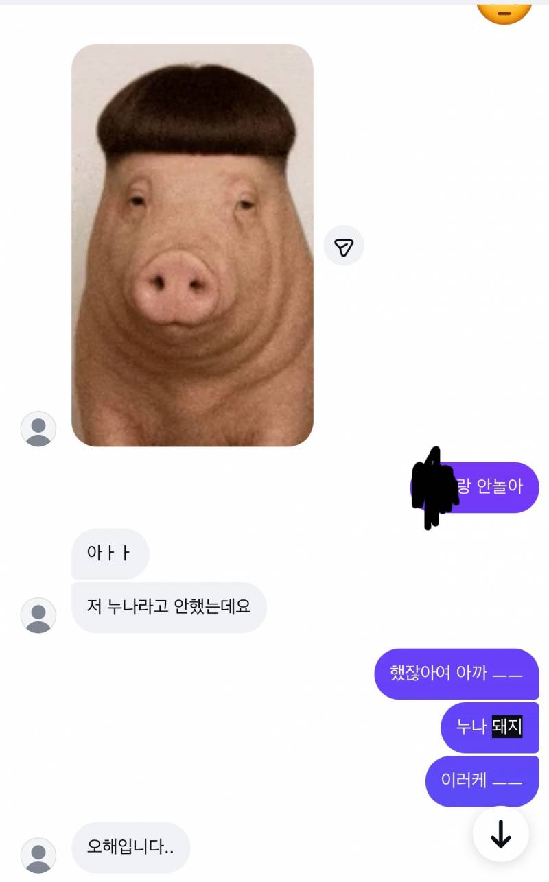 [잡담] 짝남?이 자꾸 돼지라고 놀림 | 인스티즈