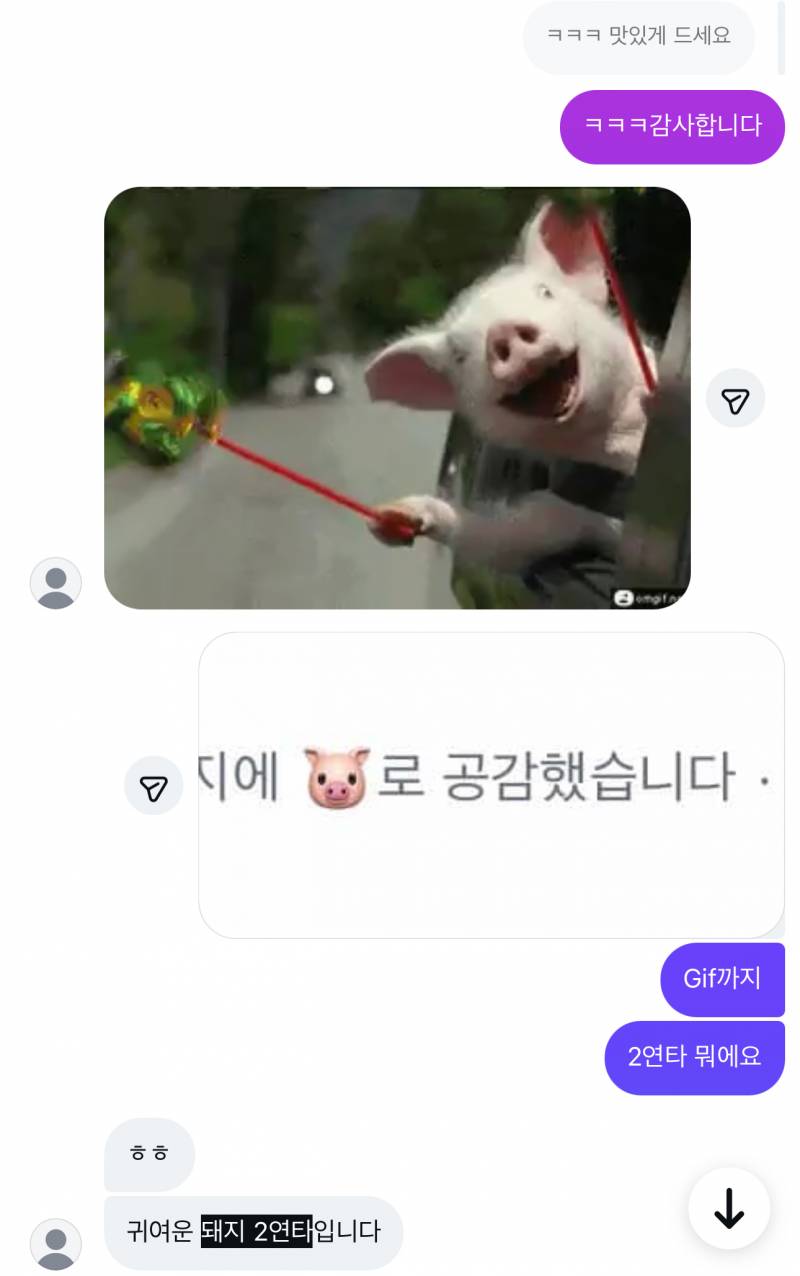 [잡담] 짝남?이 자꾸 돼지라고 놀림 | 인스티즈
